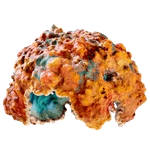 Coral Dome reference image from Subnautica 2 community creature coverage