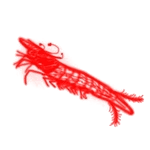 Microshrimp reference image from Subnautica 2 community creature coverage