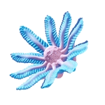 Necrolei reference image from Subnautica 2 community creature coverage