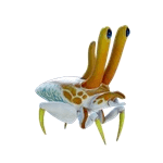 Periscopic Clowncrab reference image from Subnautica 2 community creature coverage