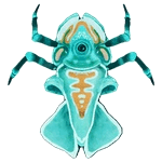Teal Cycloplet reference image from Subnautica 2 community creature coverage