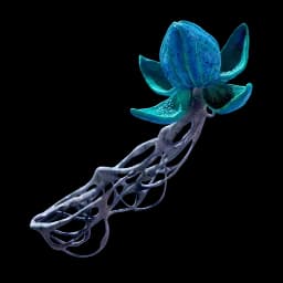 Bloom Canker reference image from Subnautica 2 community creature coverage