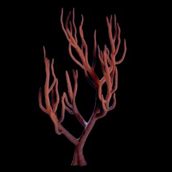 Branching Coral reference image from Subnautica 2 community creature coverage