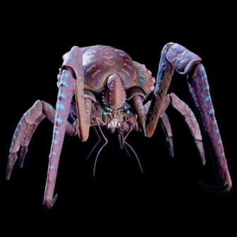 Coral Crab reference image from Subnautica 2 community creature coverage