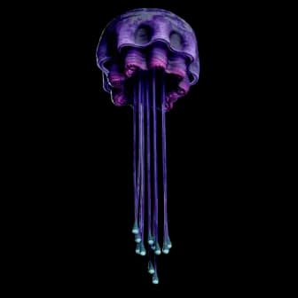Dangling Salp reference image from Subnautica 2 community creature coverage