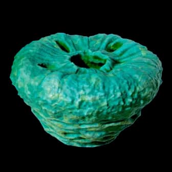 Donut, No Worms reference image from Subnautica 2 community creature coverage