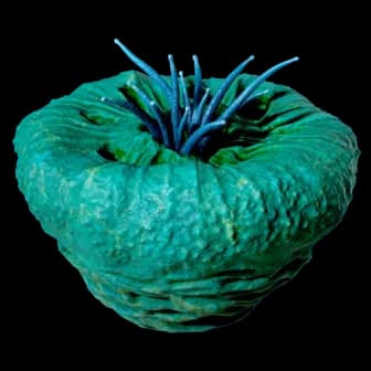 Donut of Worms reference image from Subnautica 2 community creature coverage