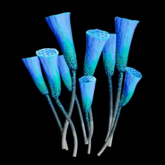 Flagon Spraion reference image from Subnautica 2 community creature coverage