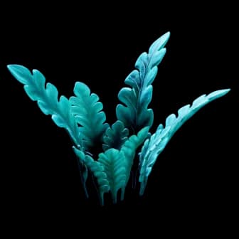 Fridge Worm reference image from Subnautica 2 community creature coverage