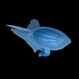 Hycean reference image from Subnautica 2 community creature coverage