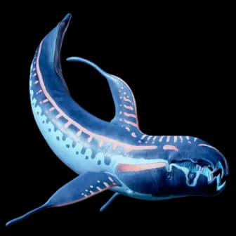 Marrowbreach reference image from Subnautica 2 community creature coverage