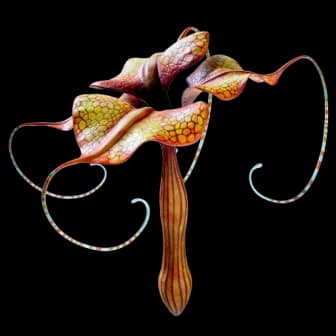 Mimic Pylon reference image from Subnautica 2 community creature coverage