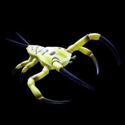 Tongue Thief reference image from Subnautica 2 community creature coverage