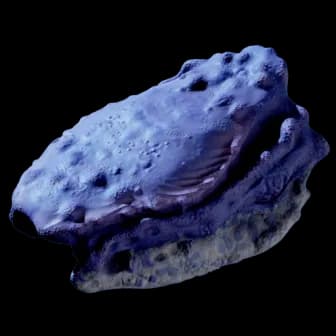 Titan Rockbore reference image from Subnautica 2 community creature coverage
